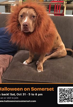 A dog wearing a lion mane, with event details & QR code